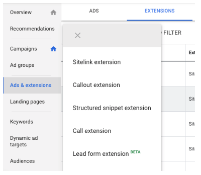 Visualisation of Google Search Lead Form Extension in search results page