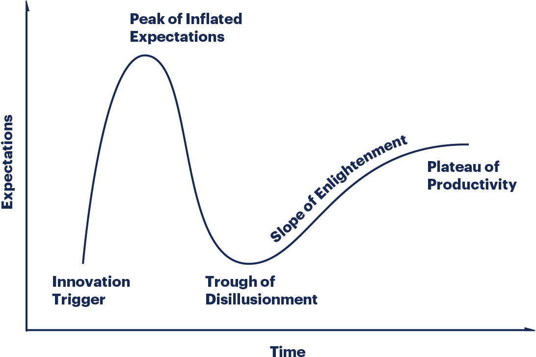 The Hype Cycle